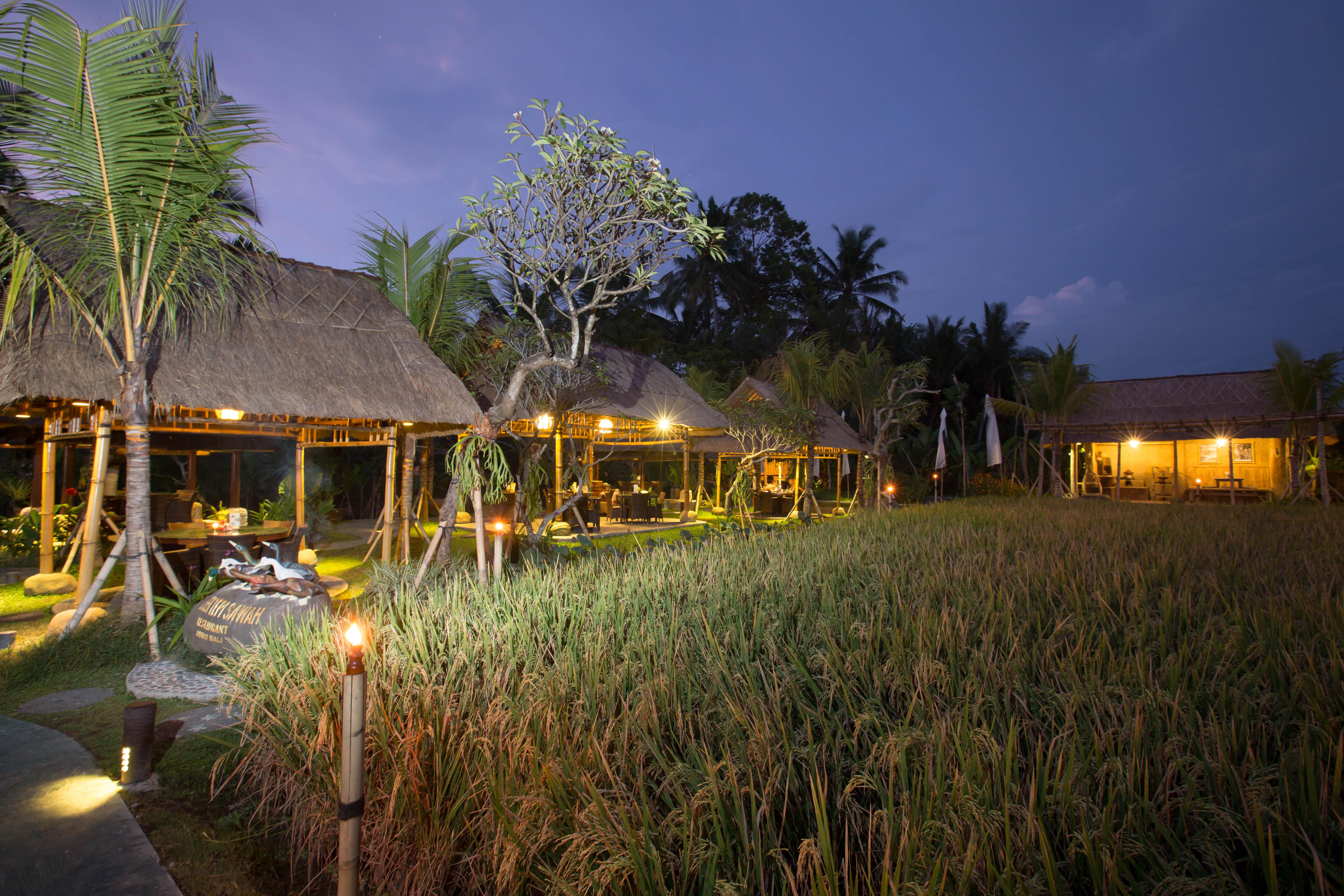 Bebek Tepi Sawah Restaurant & Villas Убуд Екстериор снимка