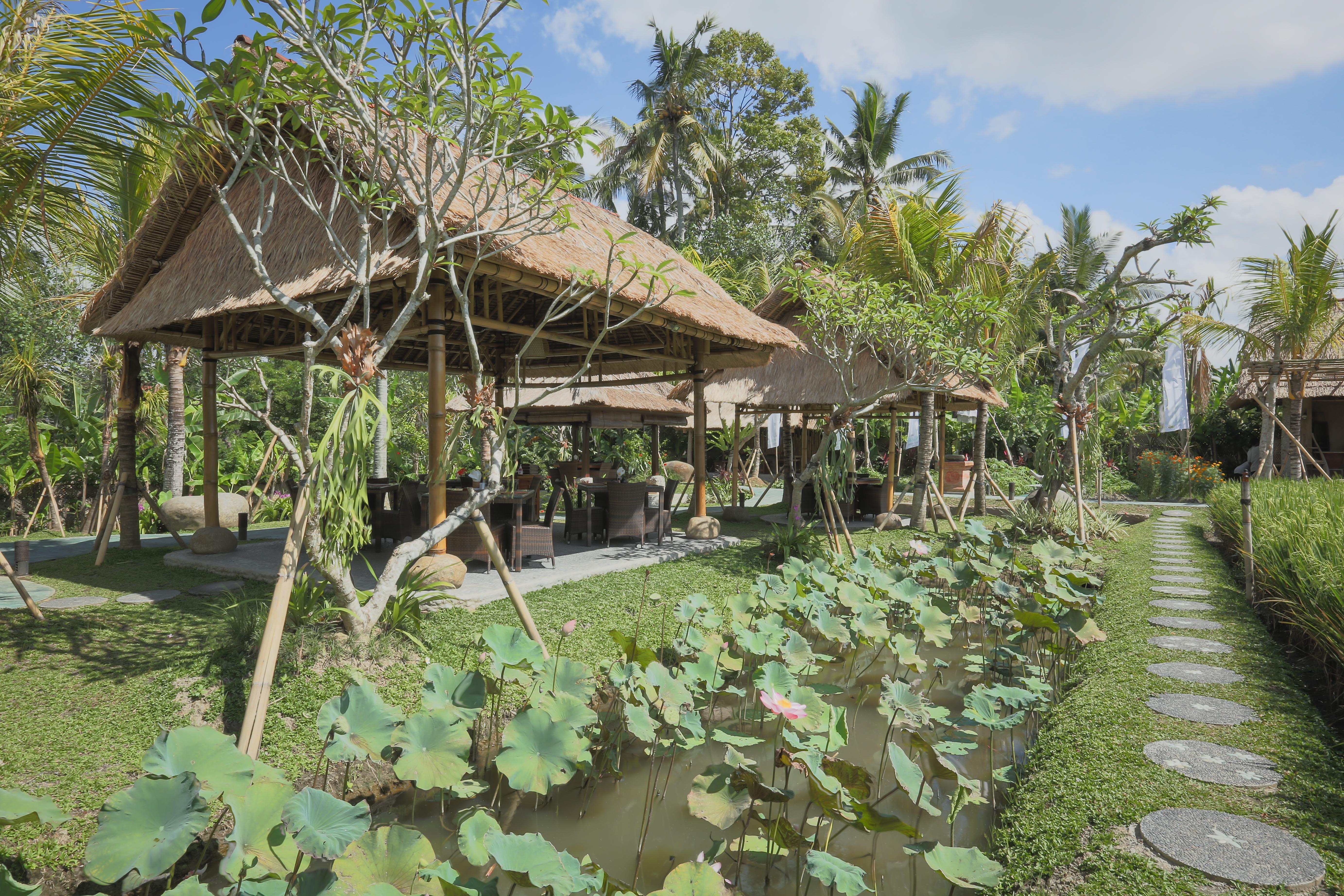Bebek Tepi Sawah Restaurant & Villas Убуд Екстериор снимка