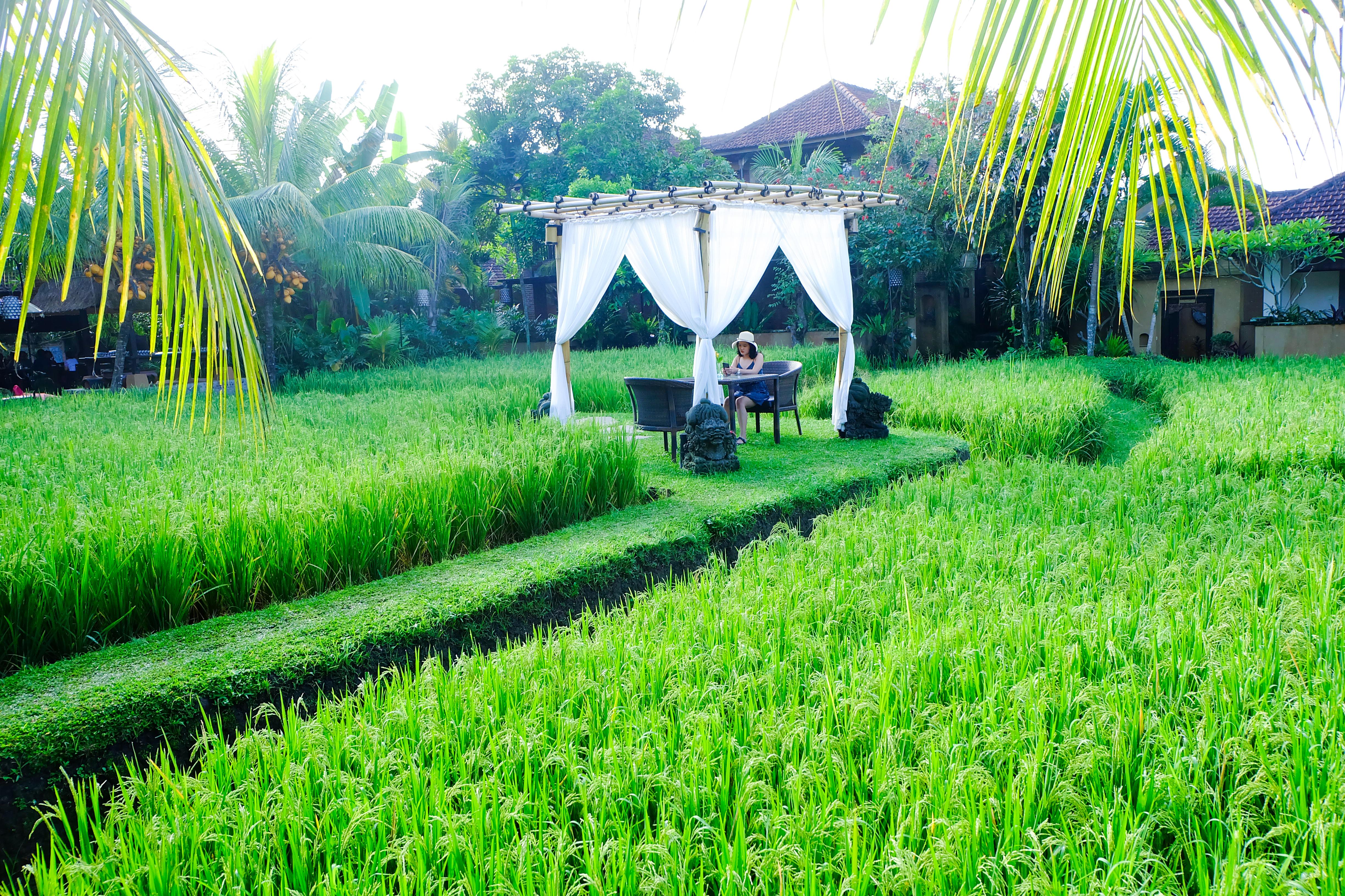Bebek Tepi Sawah Restaurant & Villas Убуд Екстериор снимка