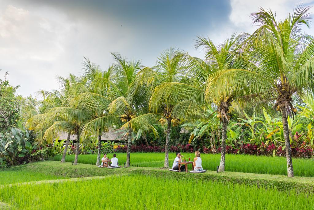 Bebek Tepi Sawah Restaurant & Villas Убуд Екстериор снимка